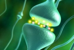 © Andrea Danti - Fotolia.com