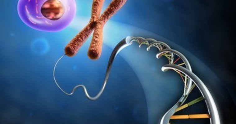 © Andrea Danti - Fotolia.com