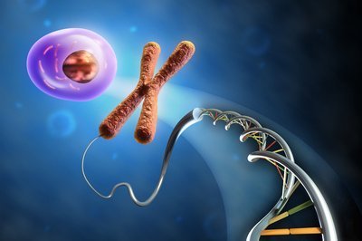 © Andrea Danti - Fotolia.com