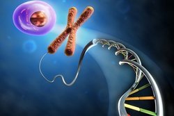 &copy; Andrea Danti - Fotolia.com