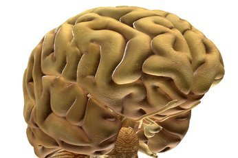 © Deminos - Fotolia.com