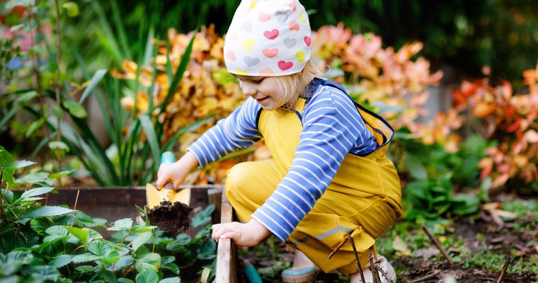 © Irina Schmidt - stock.adobe.com