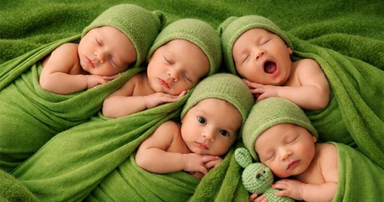 Fünf Babys liegen auf einer grünen Decke