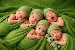 F&uuml;nf Babys liegen auf einer gr&uuml;nen Decke