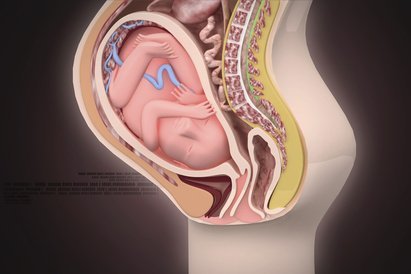  © krishnacreations - Fotolia.com