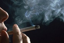 © Celeste-RF - Fotolia.com