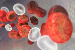 © Giovanni Cancemi – Fotolia.com