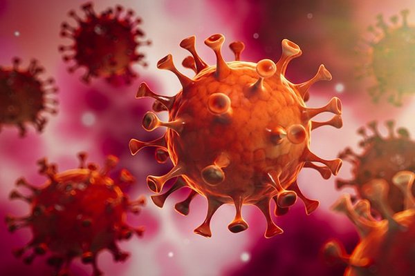 © peterschreiber.media – stock.adobe.com