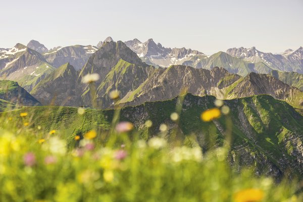 © Lea Farion (18 Jahre)