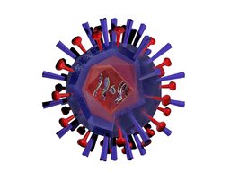 Grippe-Virus