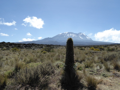 Bilder Praxis/P1030730.JPG