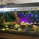 Geheimnisvolle Unterwasserwelt