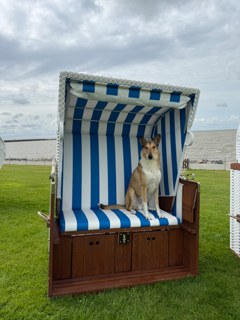 Medien/Kari im Urlaub